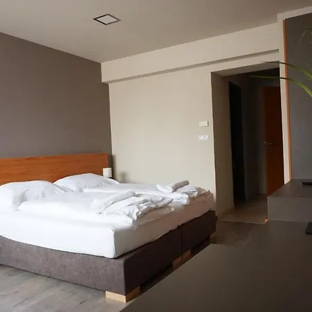 فندق مبيت وإفطار Centro Panzio زالاجيرسيج