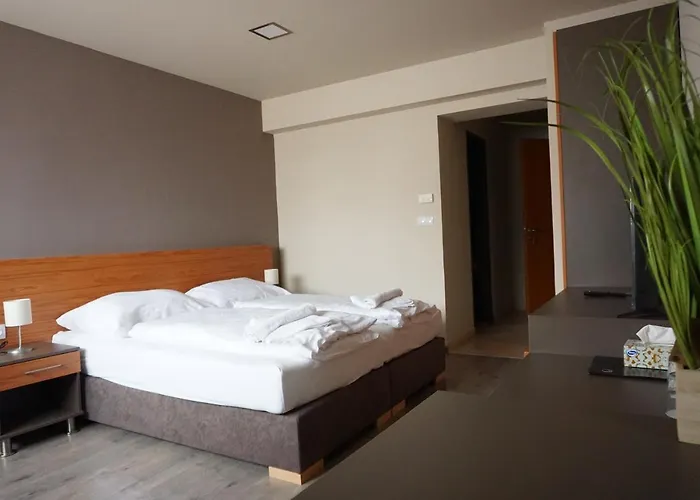 B&B Centro Panzio 절러에게르세그